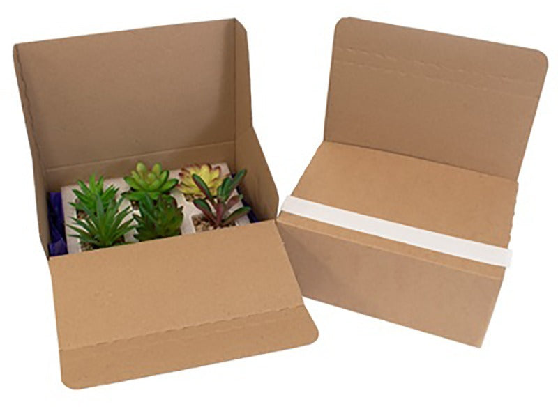 E-commerce Crash Lock Boxes 222x150x88mm